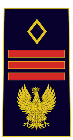 File:Assistente Capo Coordinatore PS.png